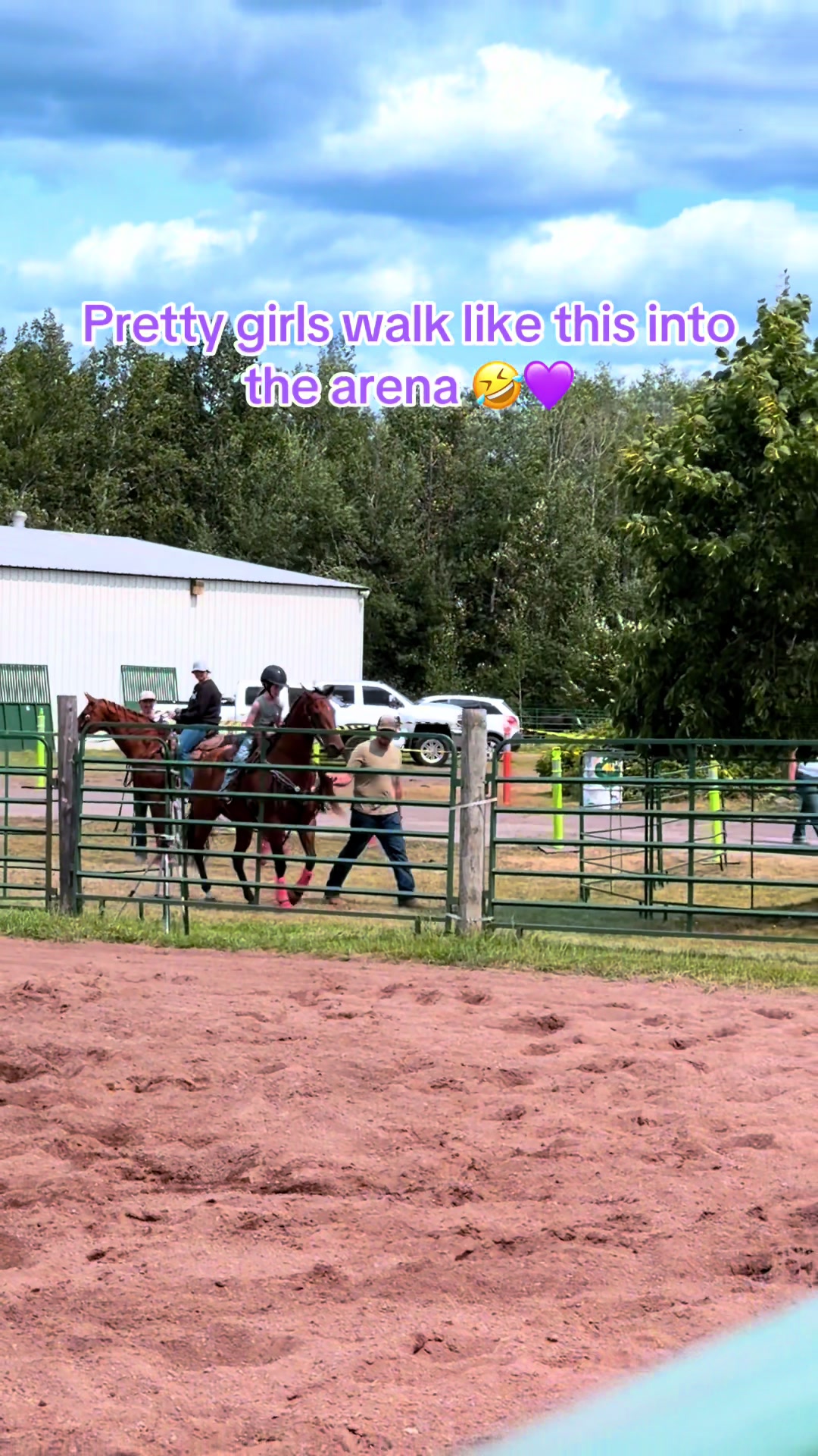 @Heinrich🐴👧👧