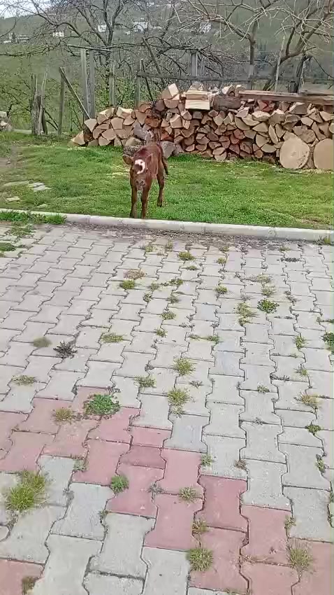 @Turan &Ouml;zkan