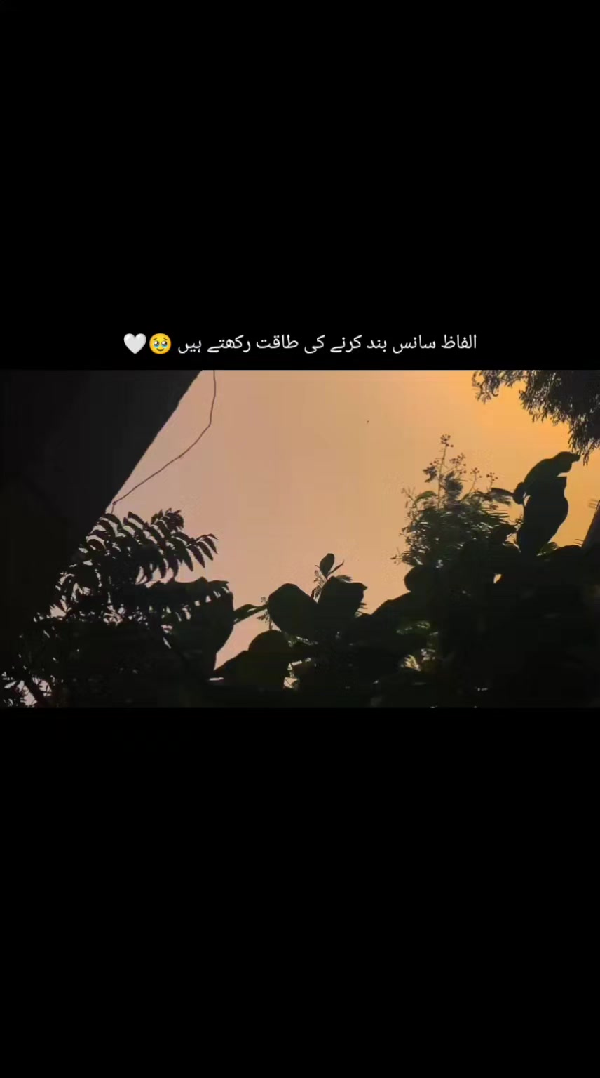 @ماہرہ ملک⚜️
