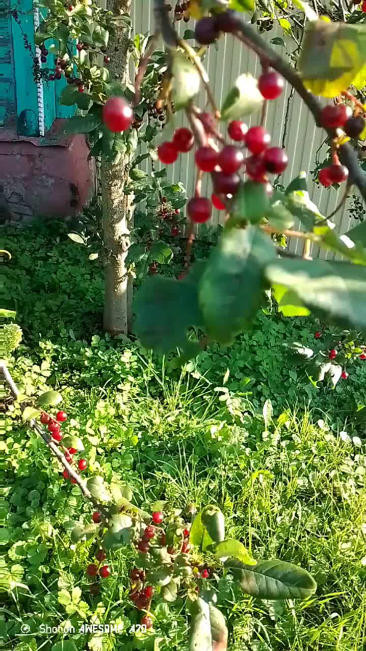 @Марина