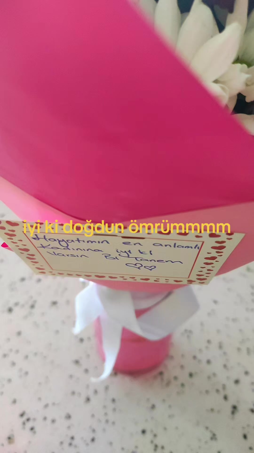 @alikardakk01