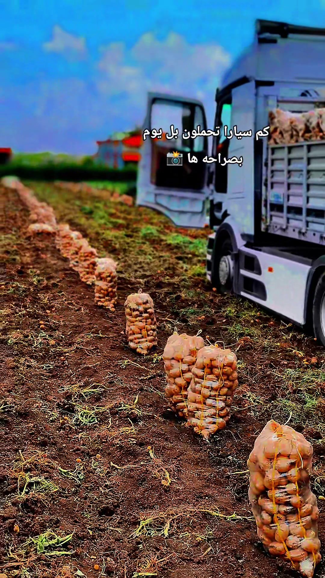 @عــبـود الـحـسـكـاوي