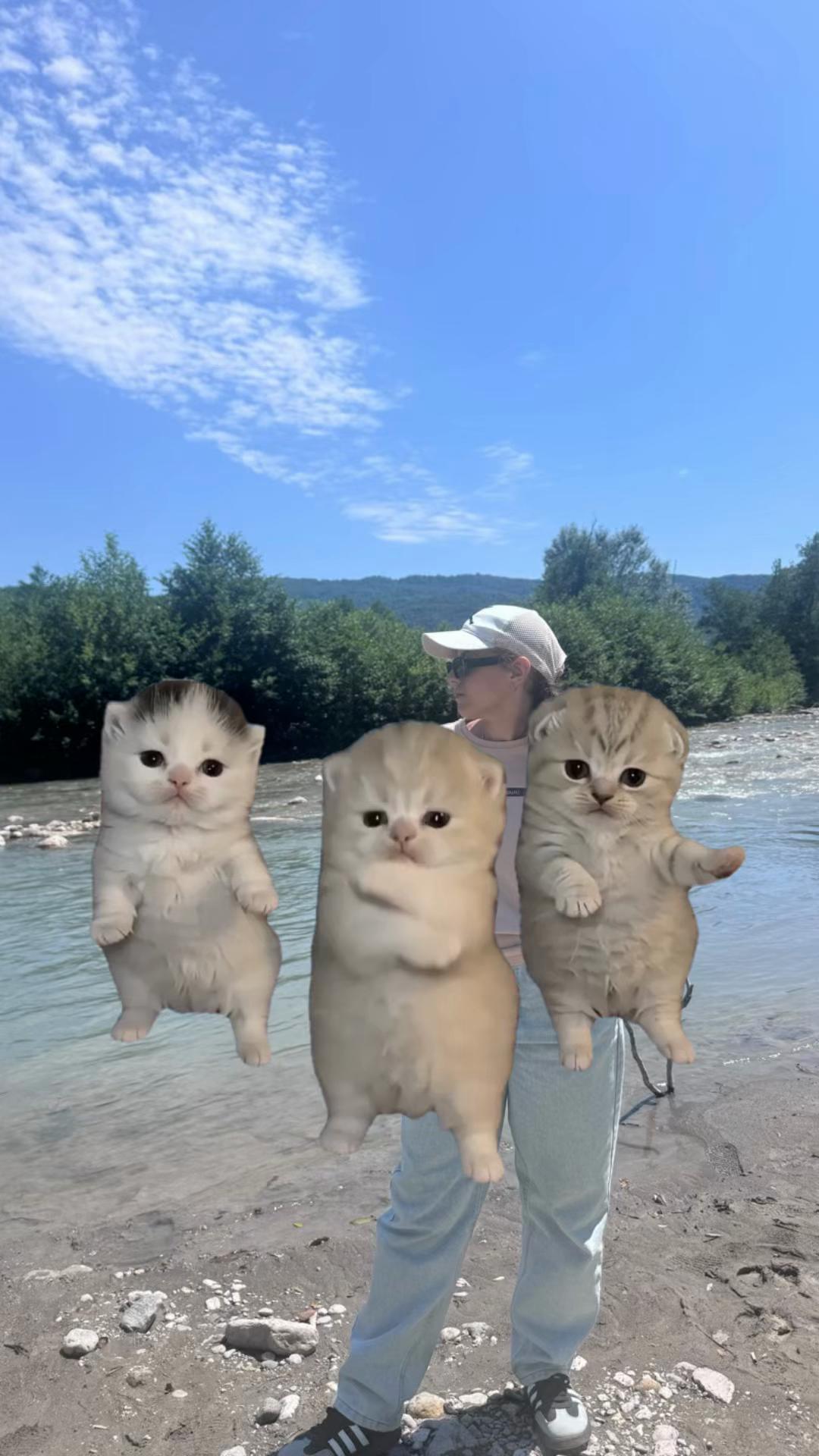 @Света