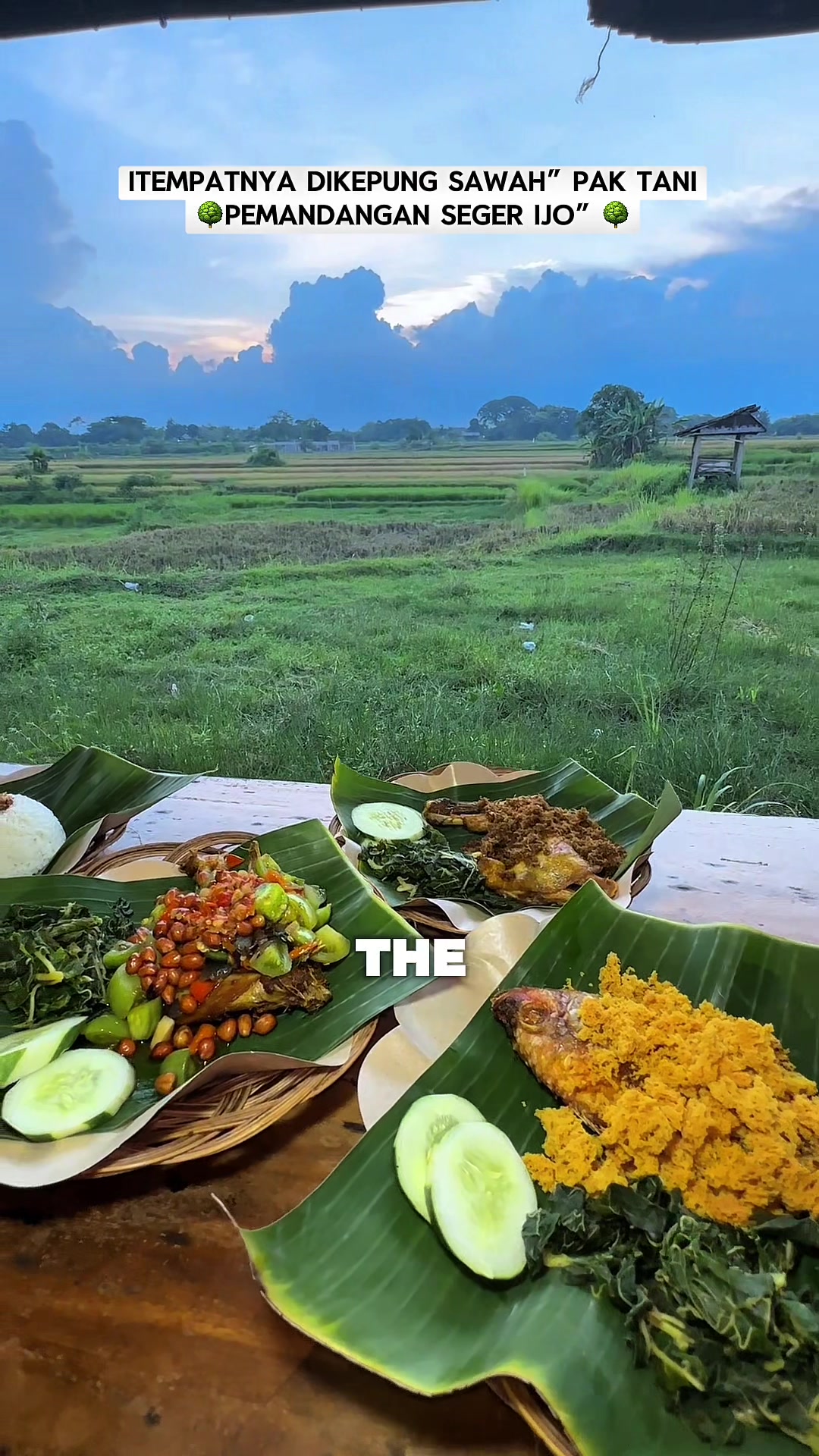 @mantan.chef