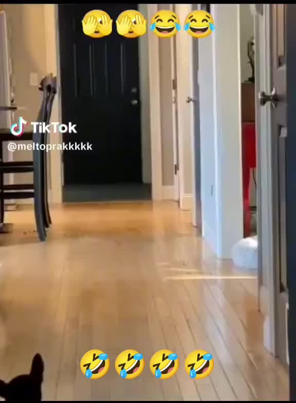 @K&ouml;m&uuml;r G&ouml;zl&uuml;m