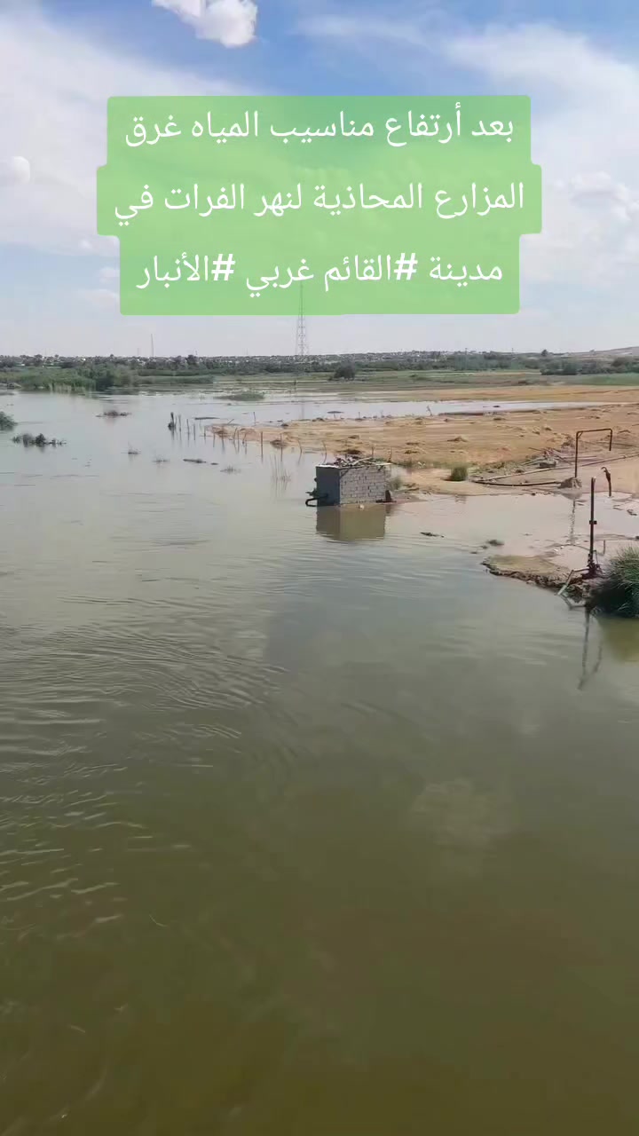 @Ali Al_Dulaimy