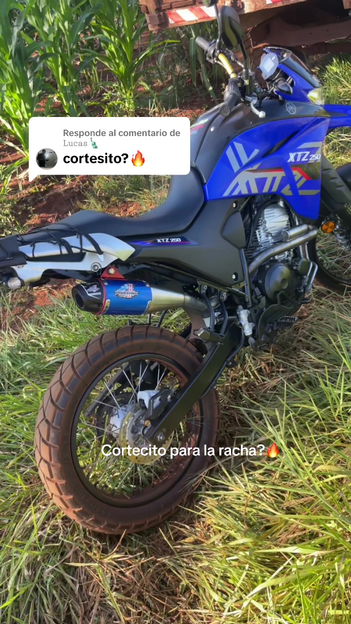 @Marce_Tañski_10