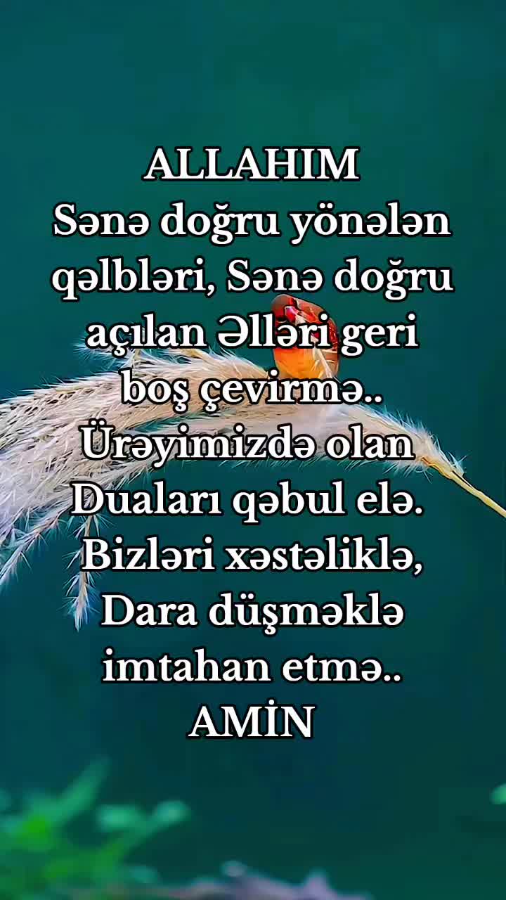 @DİNİM İSLAM