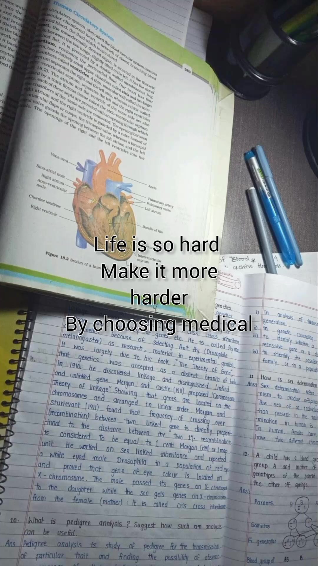 @Agoisthic(¬_¬)ノ