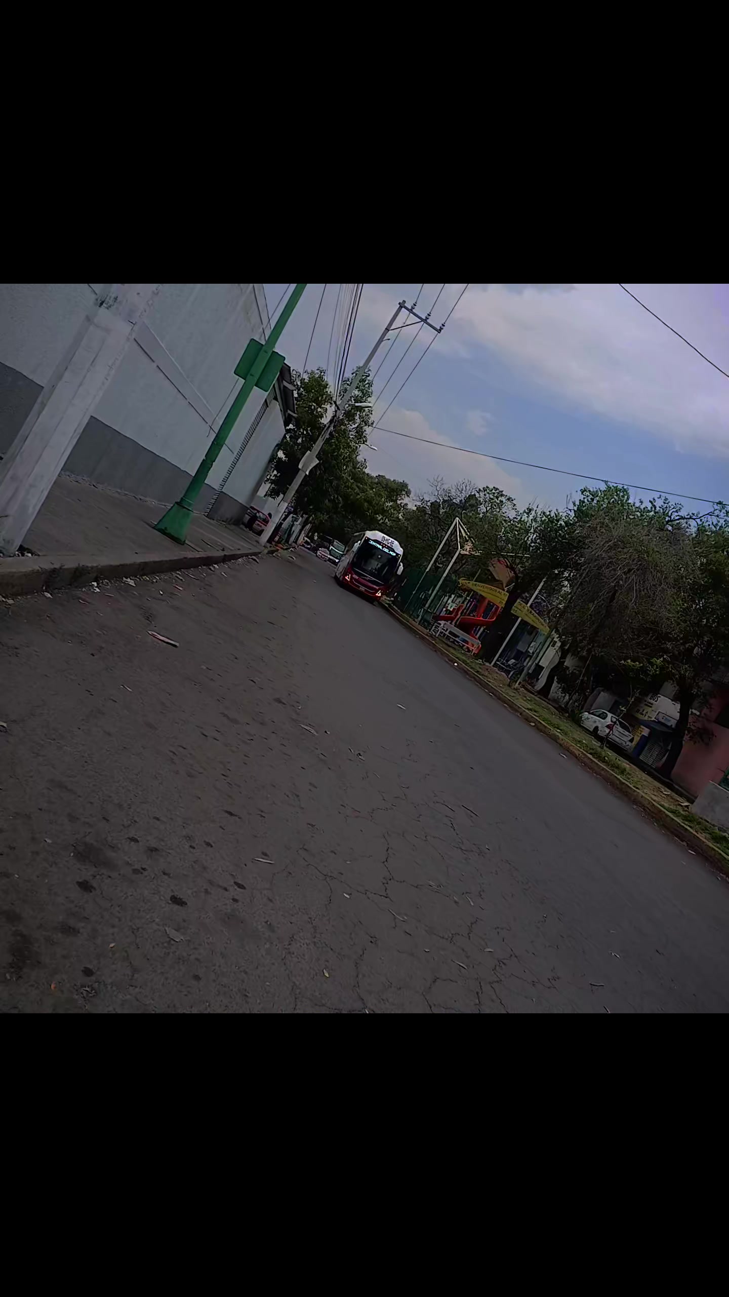 @🍁 " Busologuia_Mexico_NT "🍁