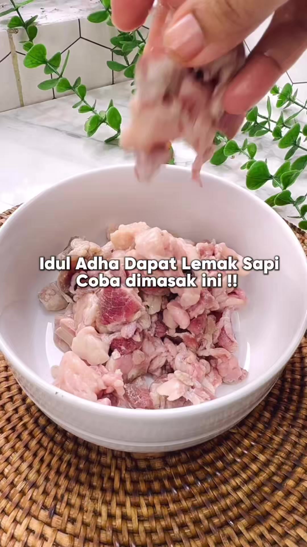 @Mama Akbar Alicia