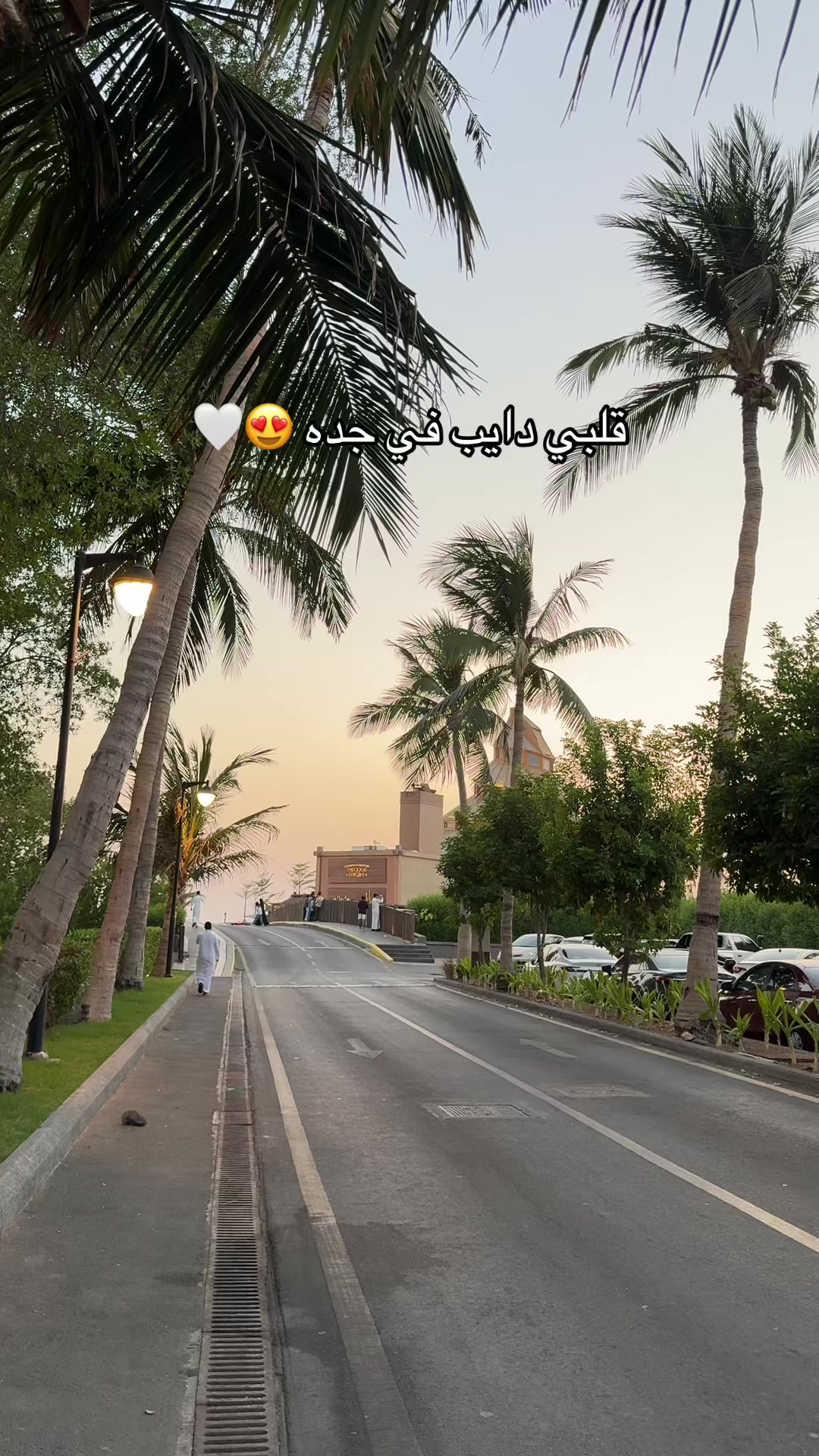 @ميم🌷كود بيت الشاورما M8
