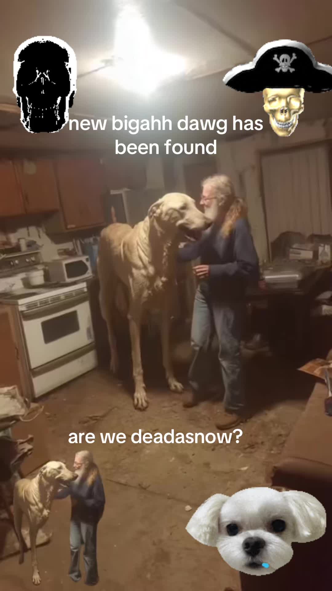 @NoCode_12
