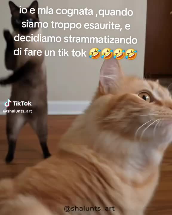 @tizianapetitto