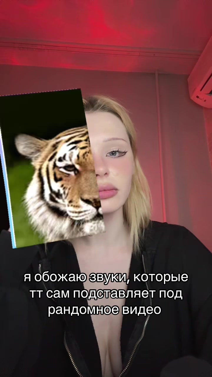@tikitak_v
