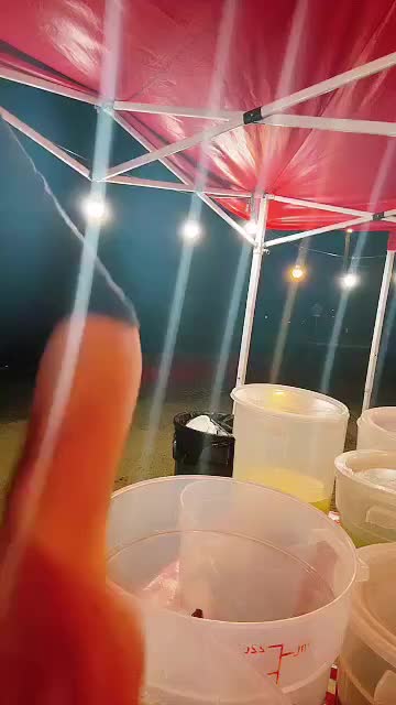 @tacos el rorro