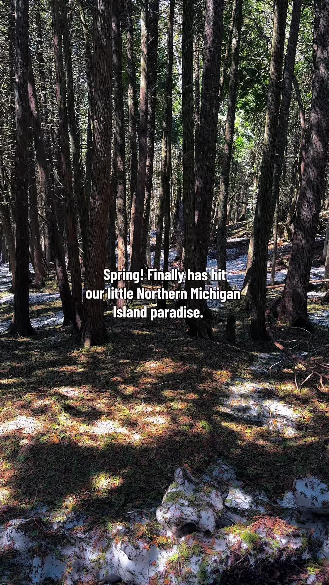 @mackinacguy