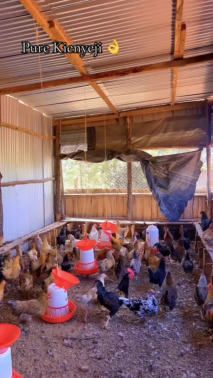 @kimasmartfarmsltd