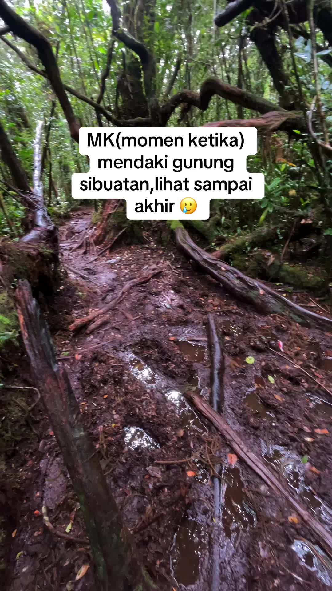 @rendyorton