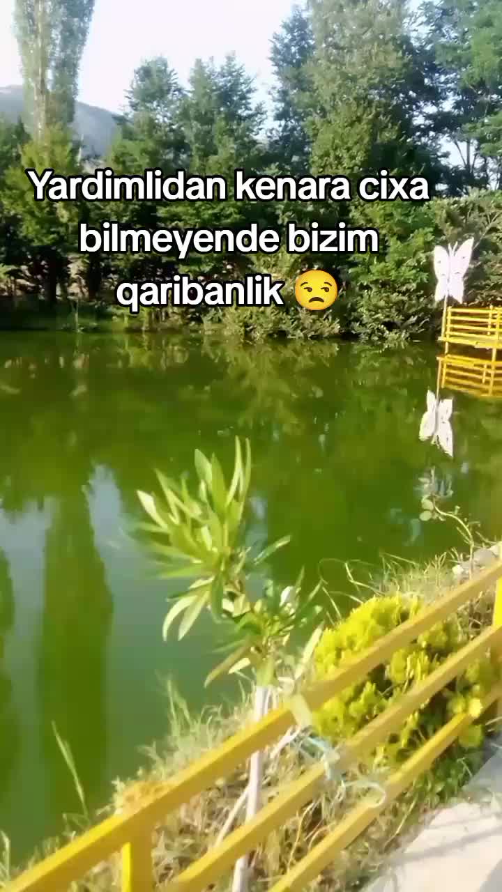 @shemsamanova