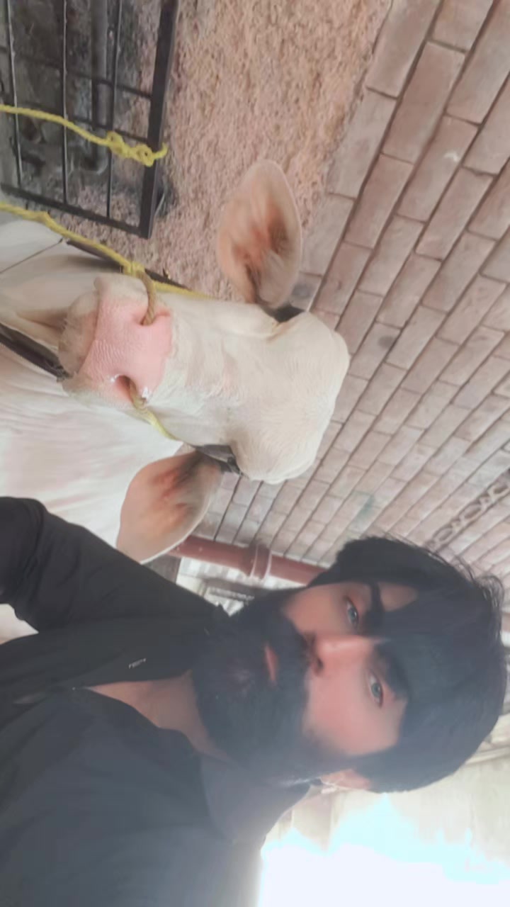 @kazi Jawwad