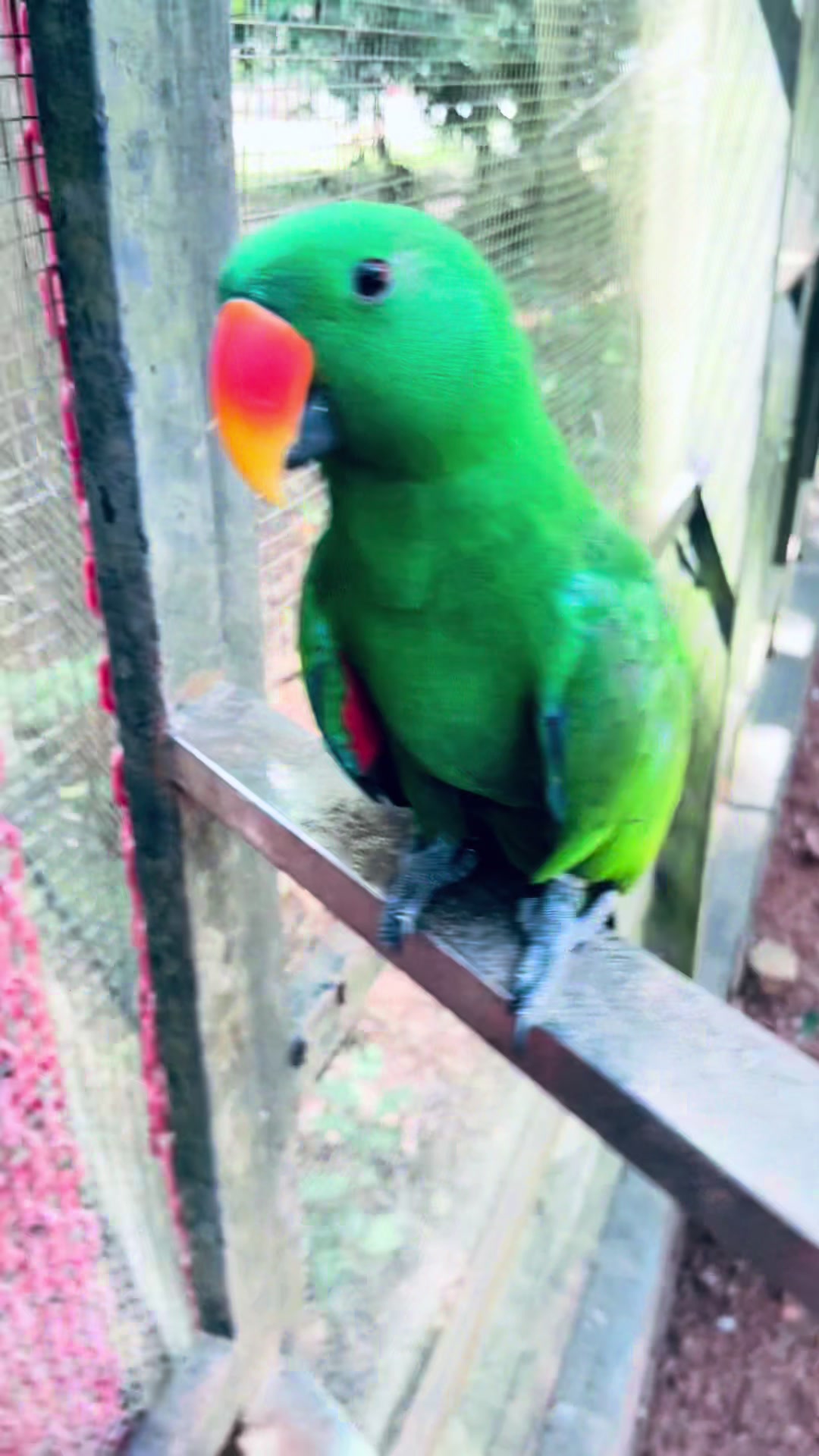 @மு.திவிகா🫶