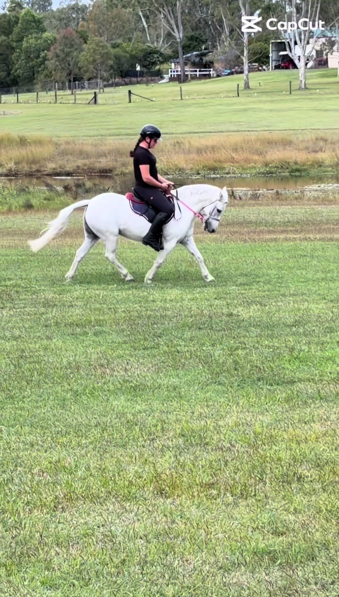 @Lola_is_my_pony
