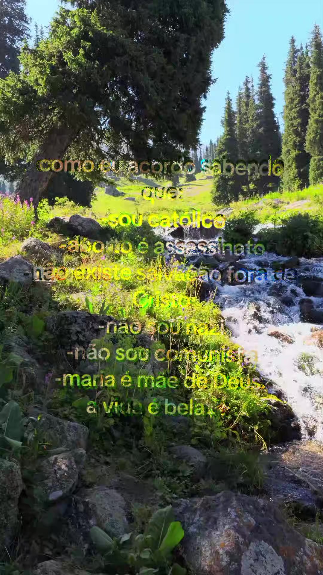 @Luluzzin o Cat&oacute;lico 🇻🇦