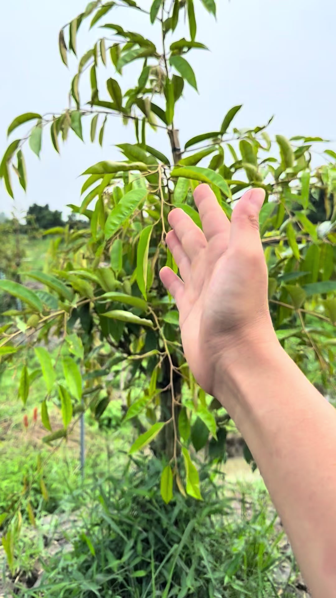 @Hộ Kinh Doanh Hào - Hưng