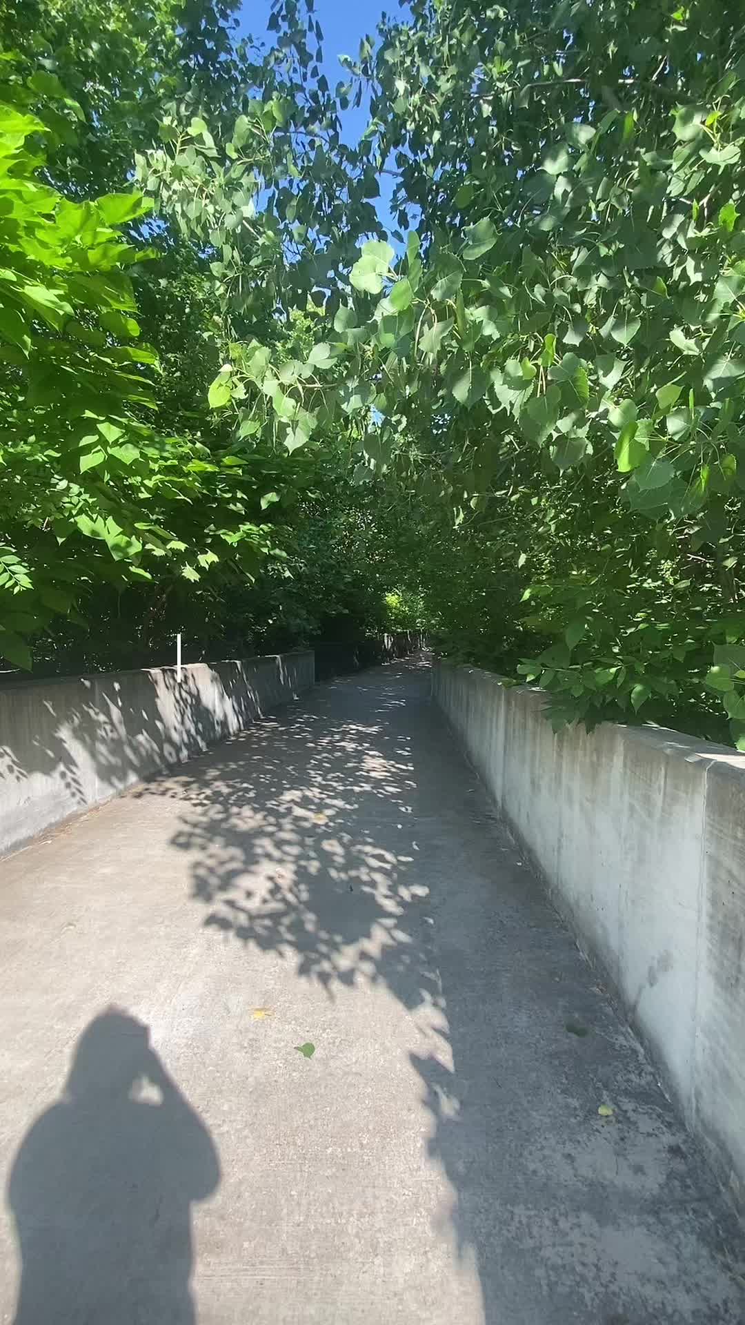 @Motiv_a_tay365