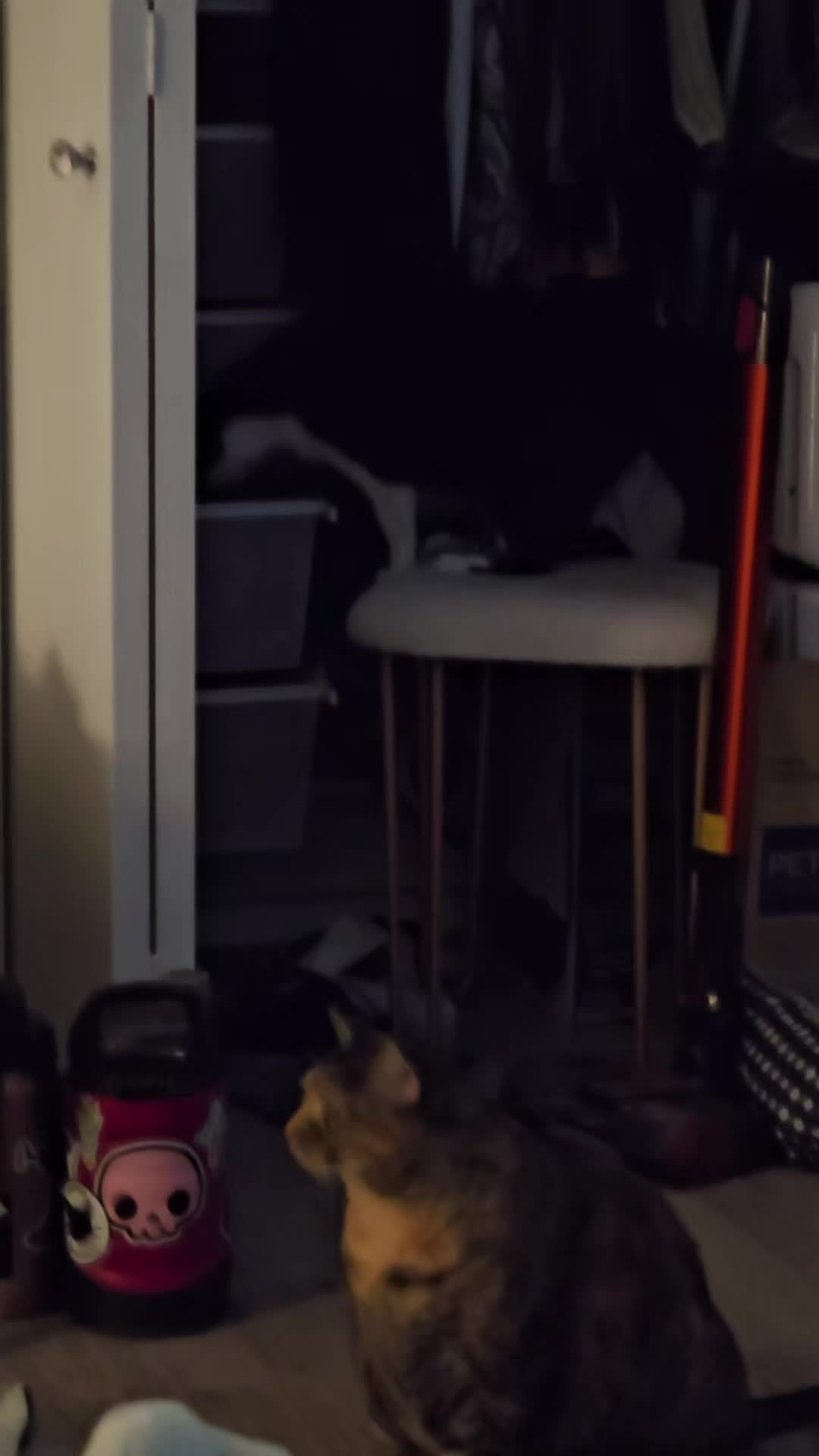 @gamedotfilm