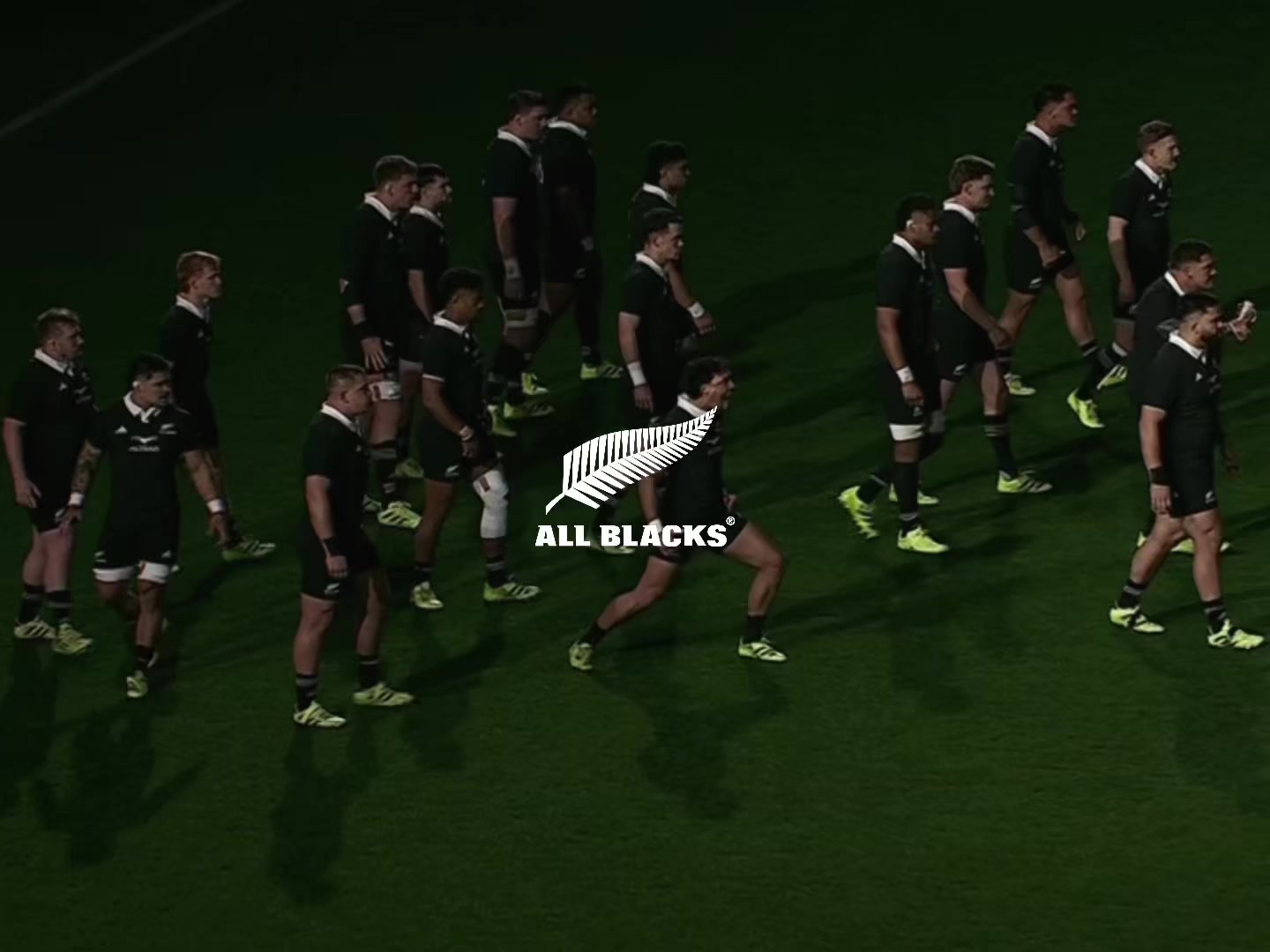 @AllBlacks