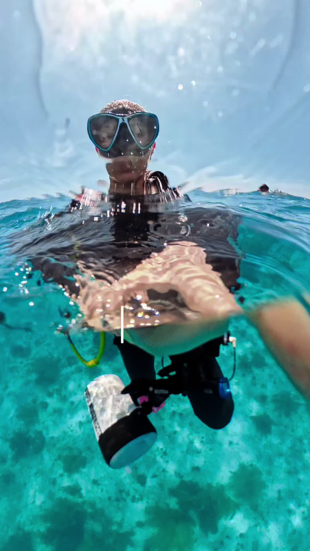 @Hannah | Dive App Currently