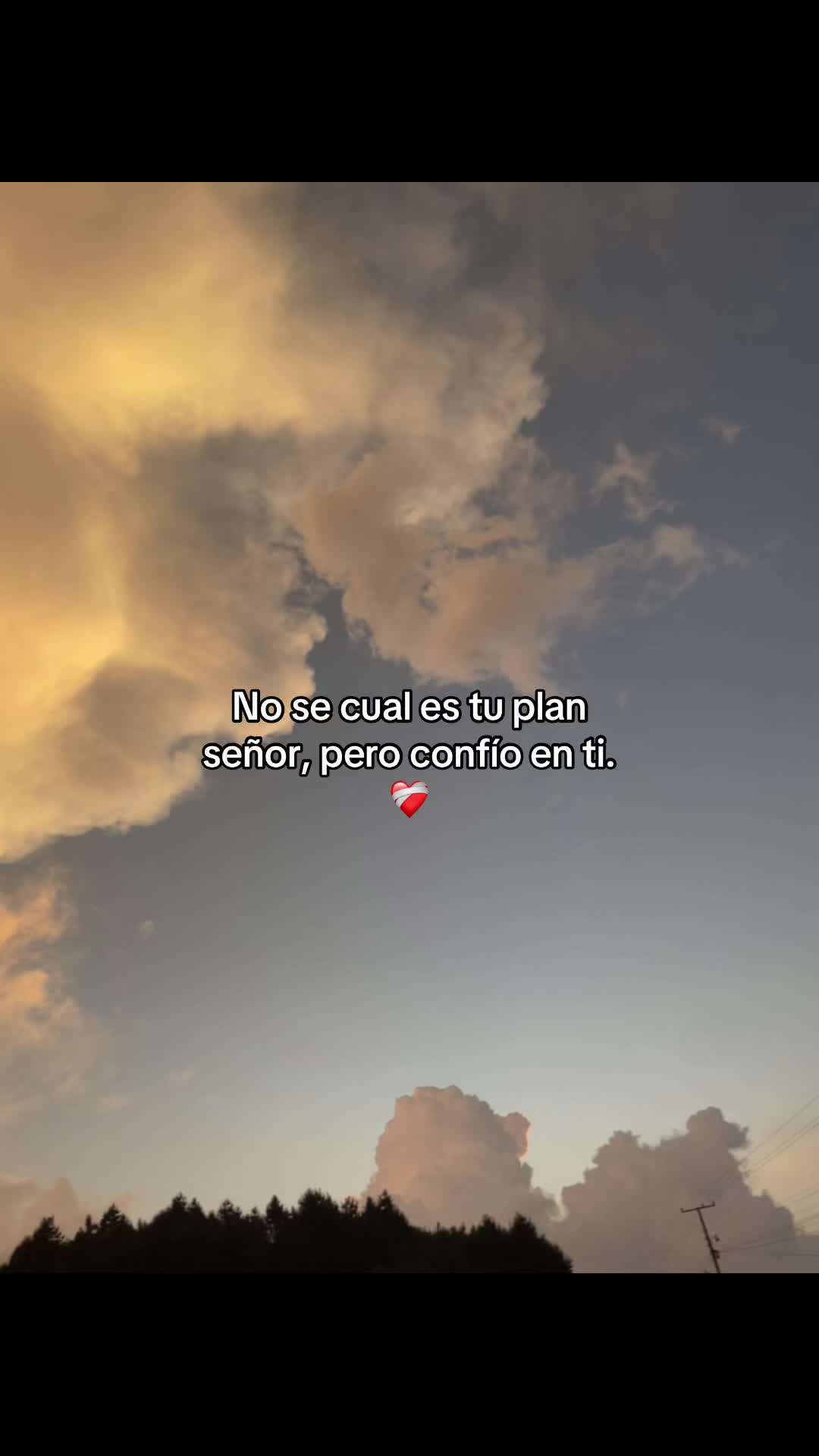 @C A R R I L L O ๐ฆ