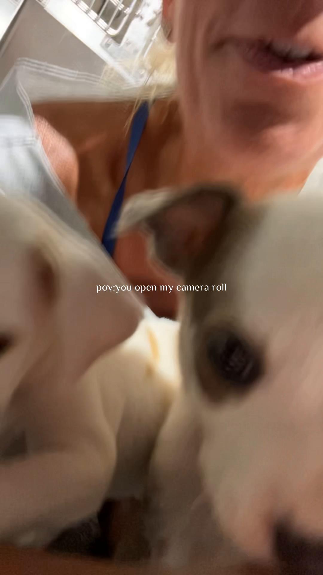 @krae