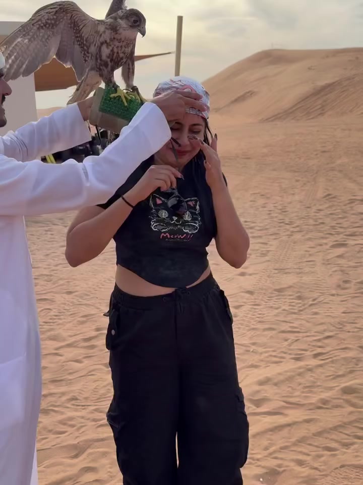 @DESERT SAFARI DUBAI