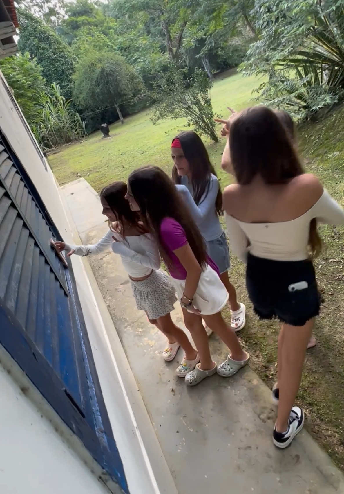 @luluca💘
