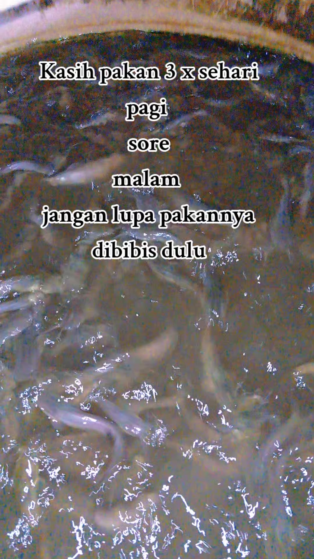 @Tamhar