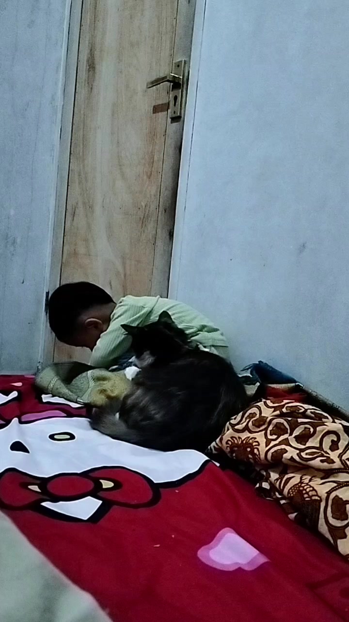 @Chiio Chiiwi Family😽🤍