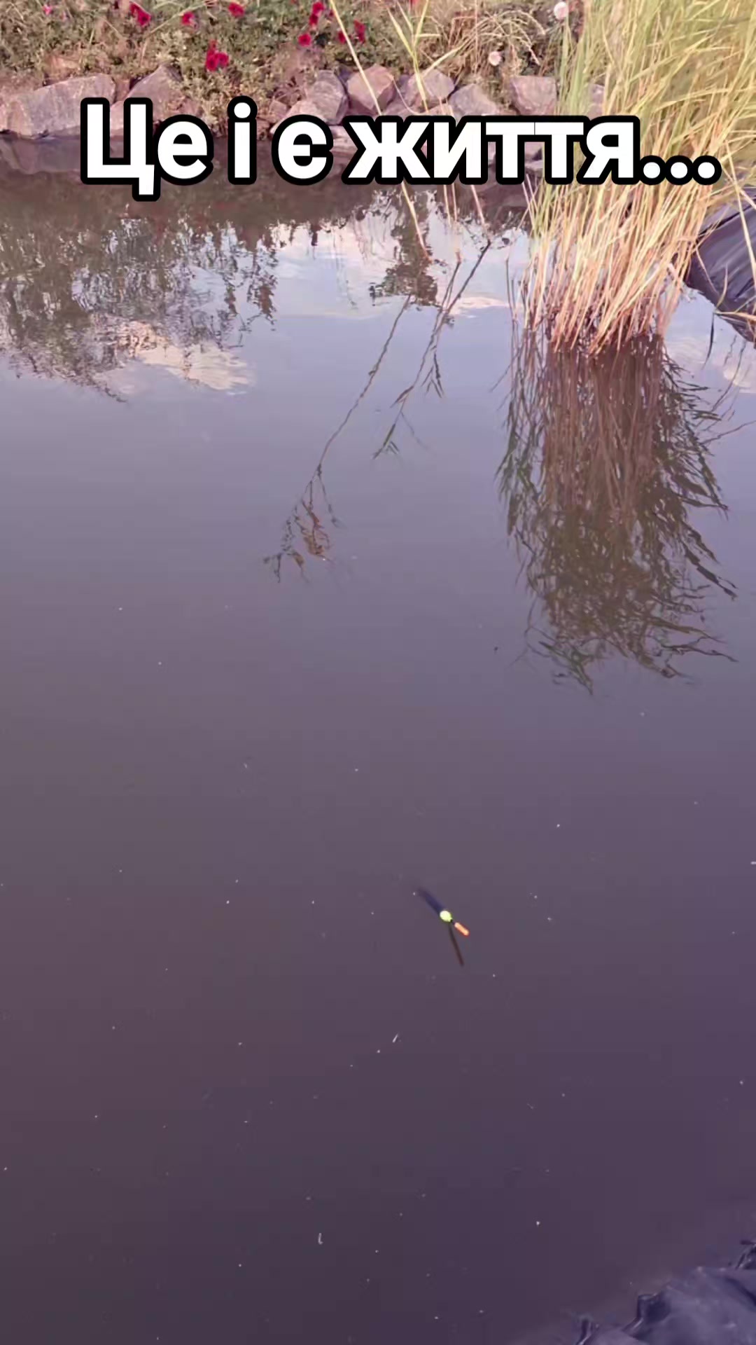 @🇺🇦Альона🥰🇺🇦