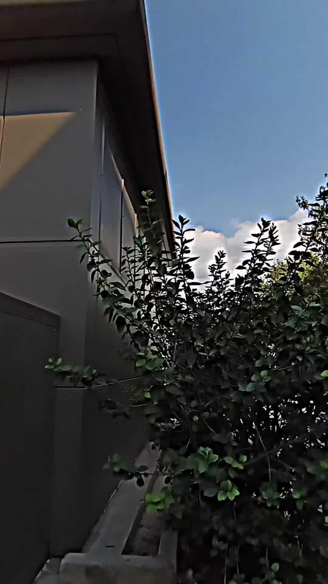 @Emre Gültekin
