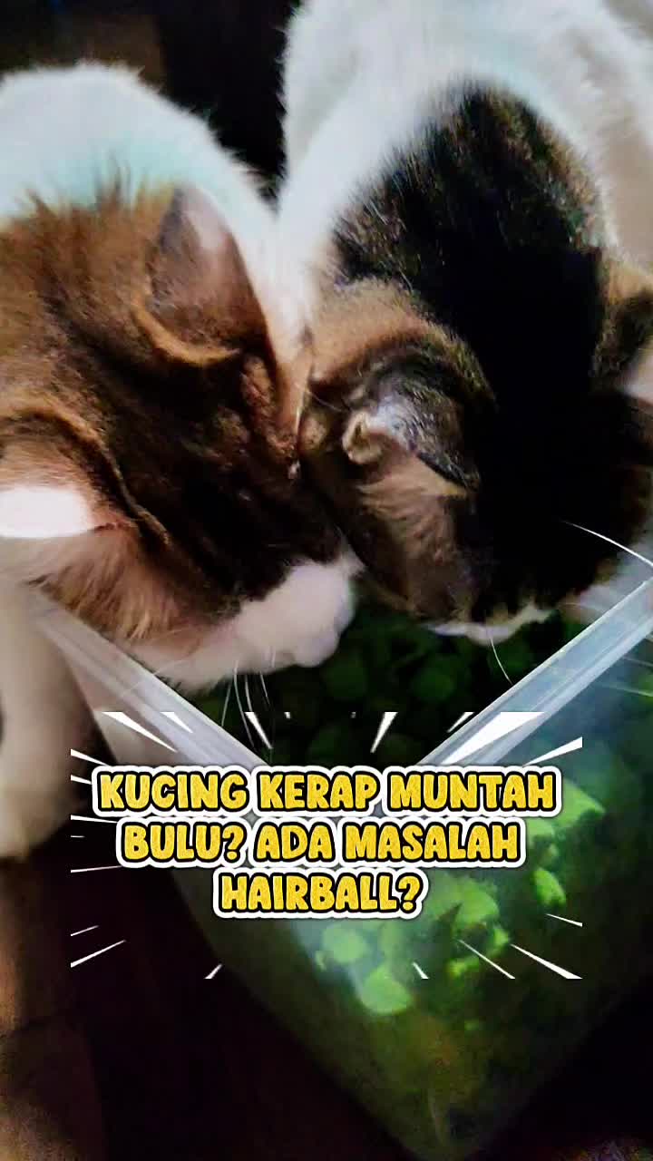 @Norazrena | Racun Tiktok