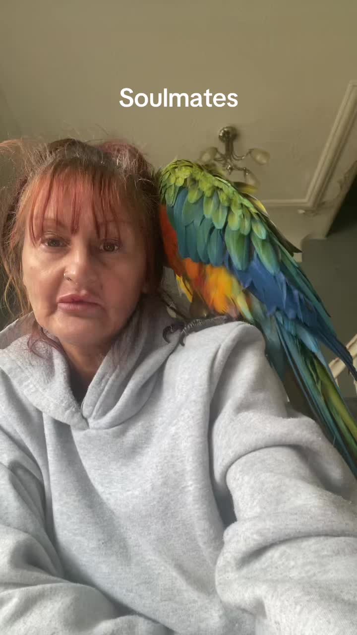 @kerryandrocky🦜