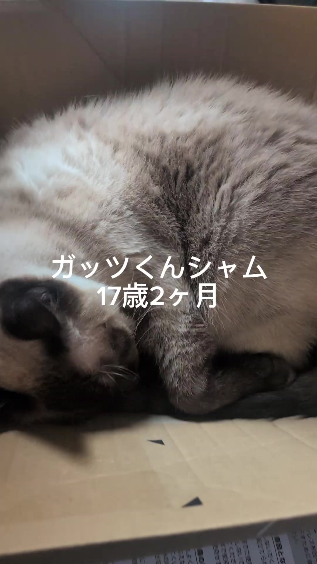 @睡眠プロデュース