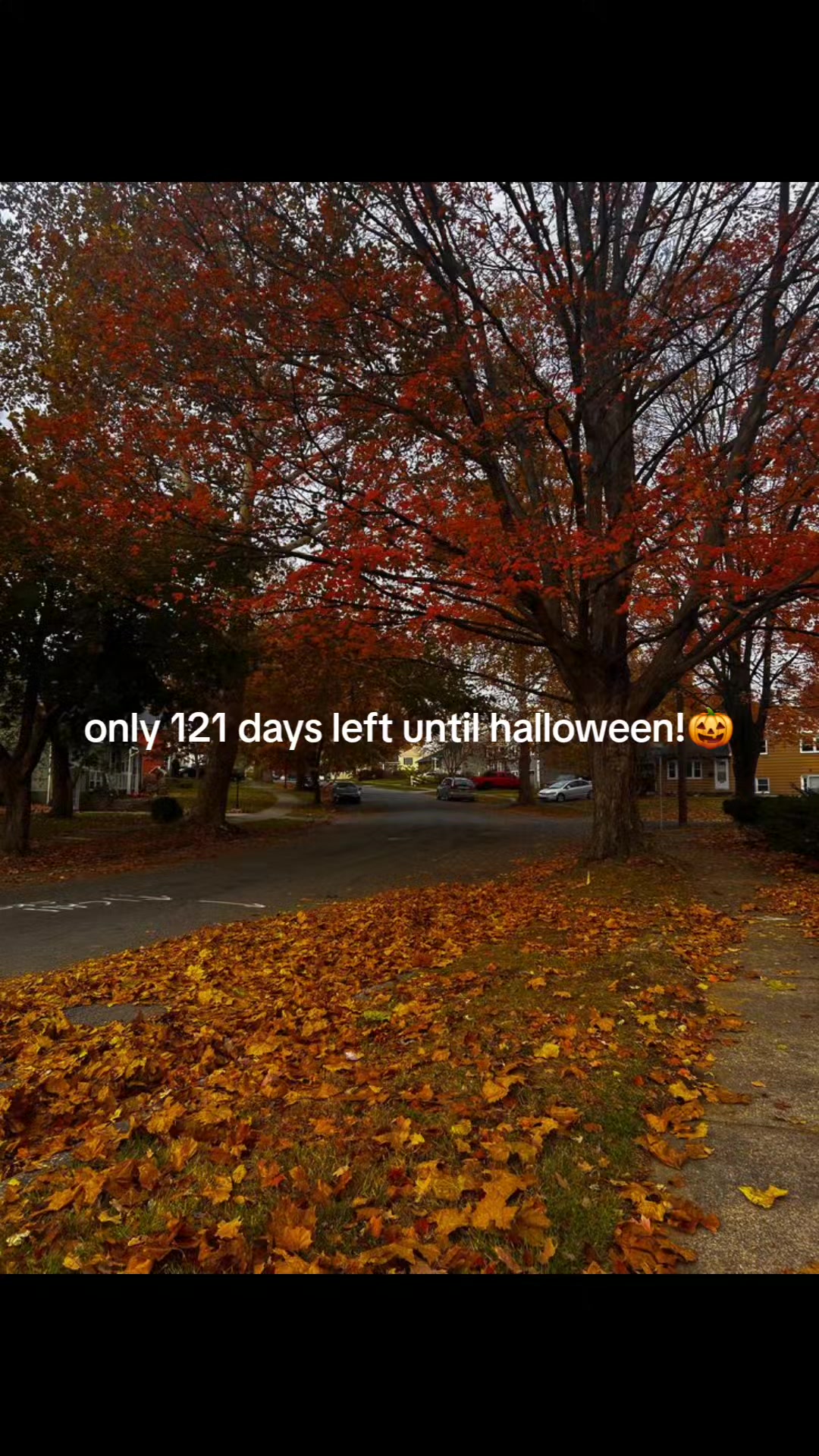 @FrightToFestive