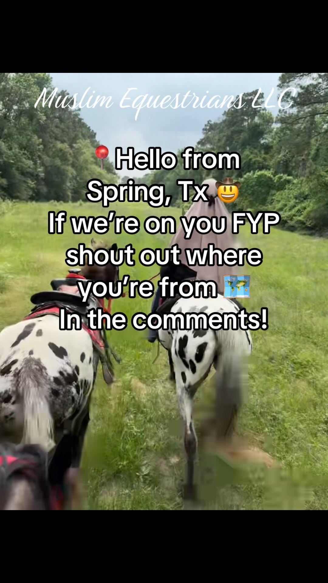 @Muslim Equestrians L.L.C.
