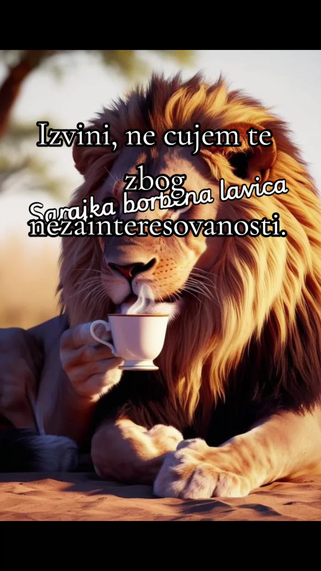 @🖤 SARAJKA BORBENA LAVICA &hearts;️