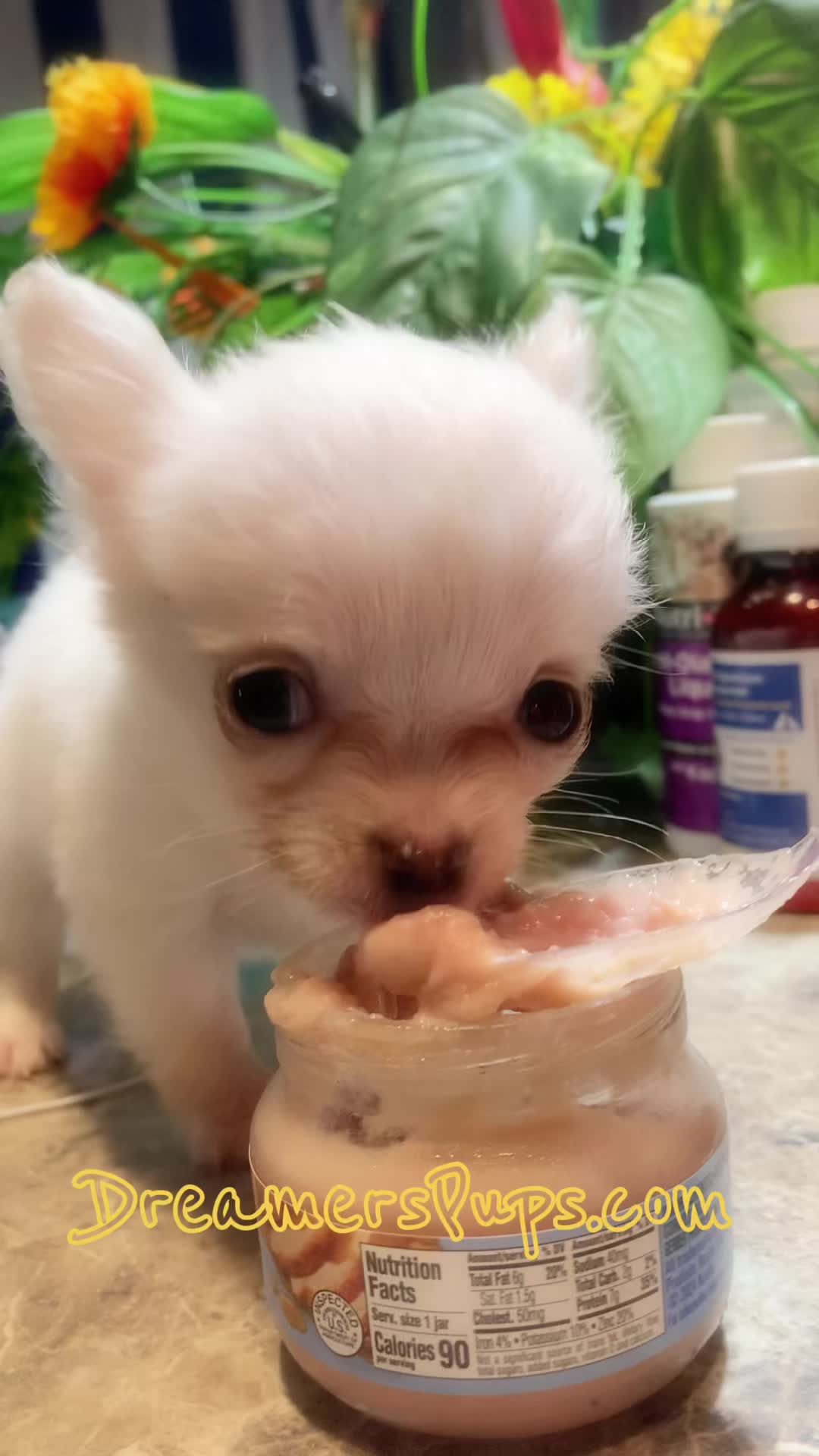 @PuppyMom