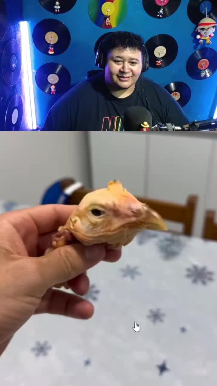 @MartinnMgf