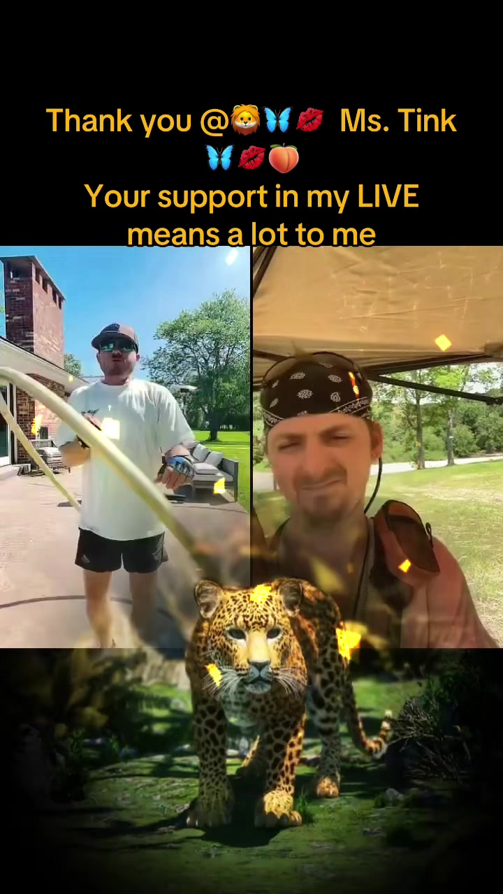 @jim_y🐅